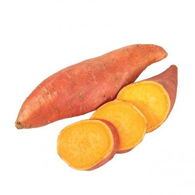 (GK) Sweet Potato - Erato Deep Orange 11cm