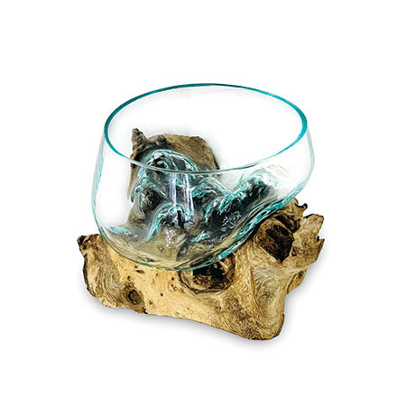 Root With Glass Fruit Bowl Tiny