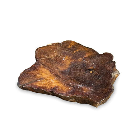 Tree Root Slice Coaster 10-17cm