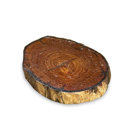 Tree Root Slice Coaster 10-17cm