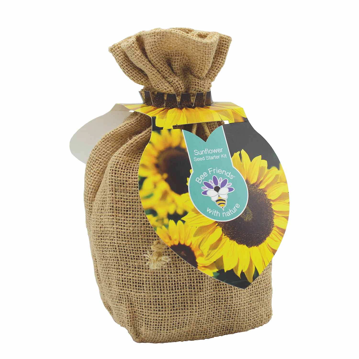 (BS) Bee Friends Starter Kit Sunflower