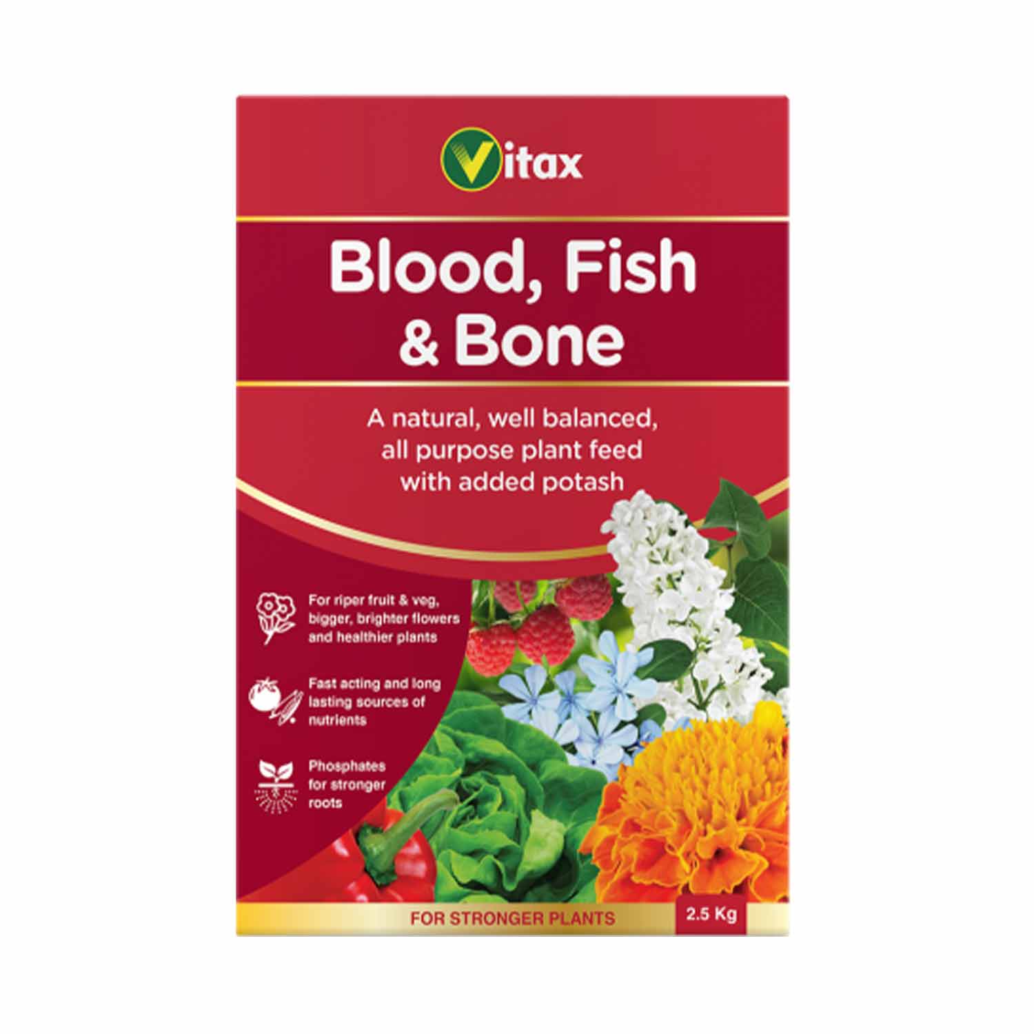 (VX) Blood, Fish & Bone