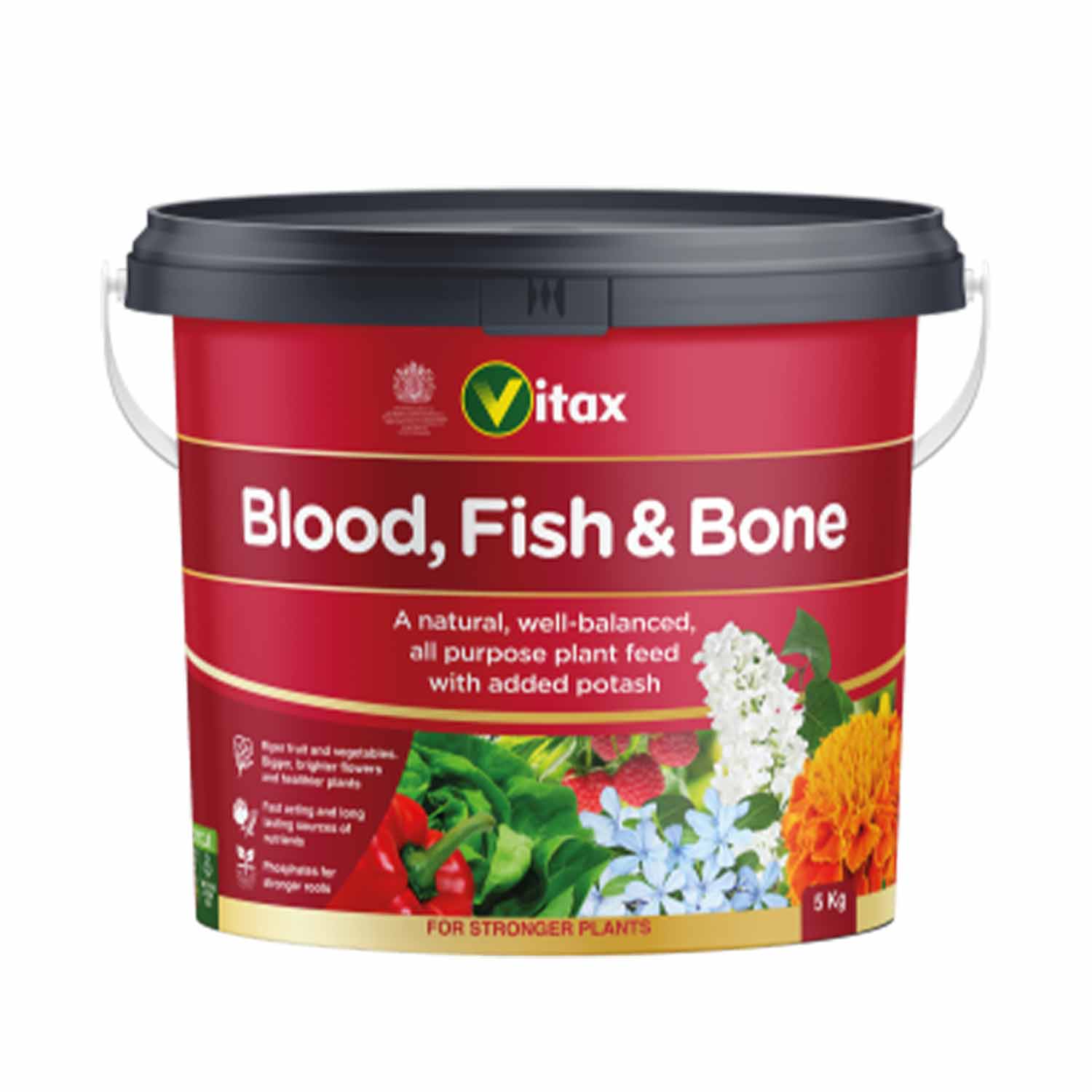 (VX) Blood, Fish & Bone