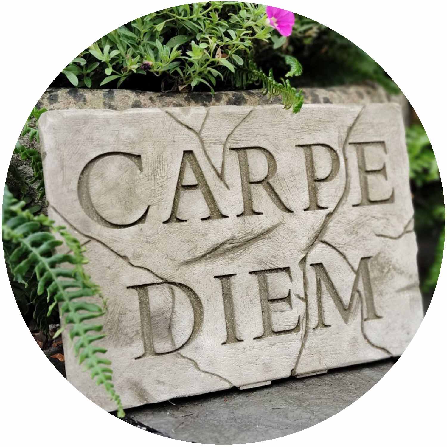 Carpe Diem Plaque