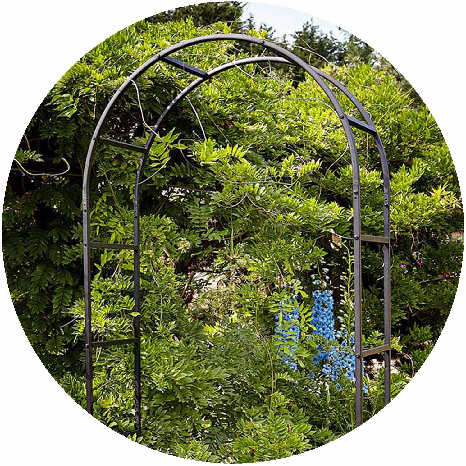 Classic Garden Arch - Black