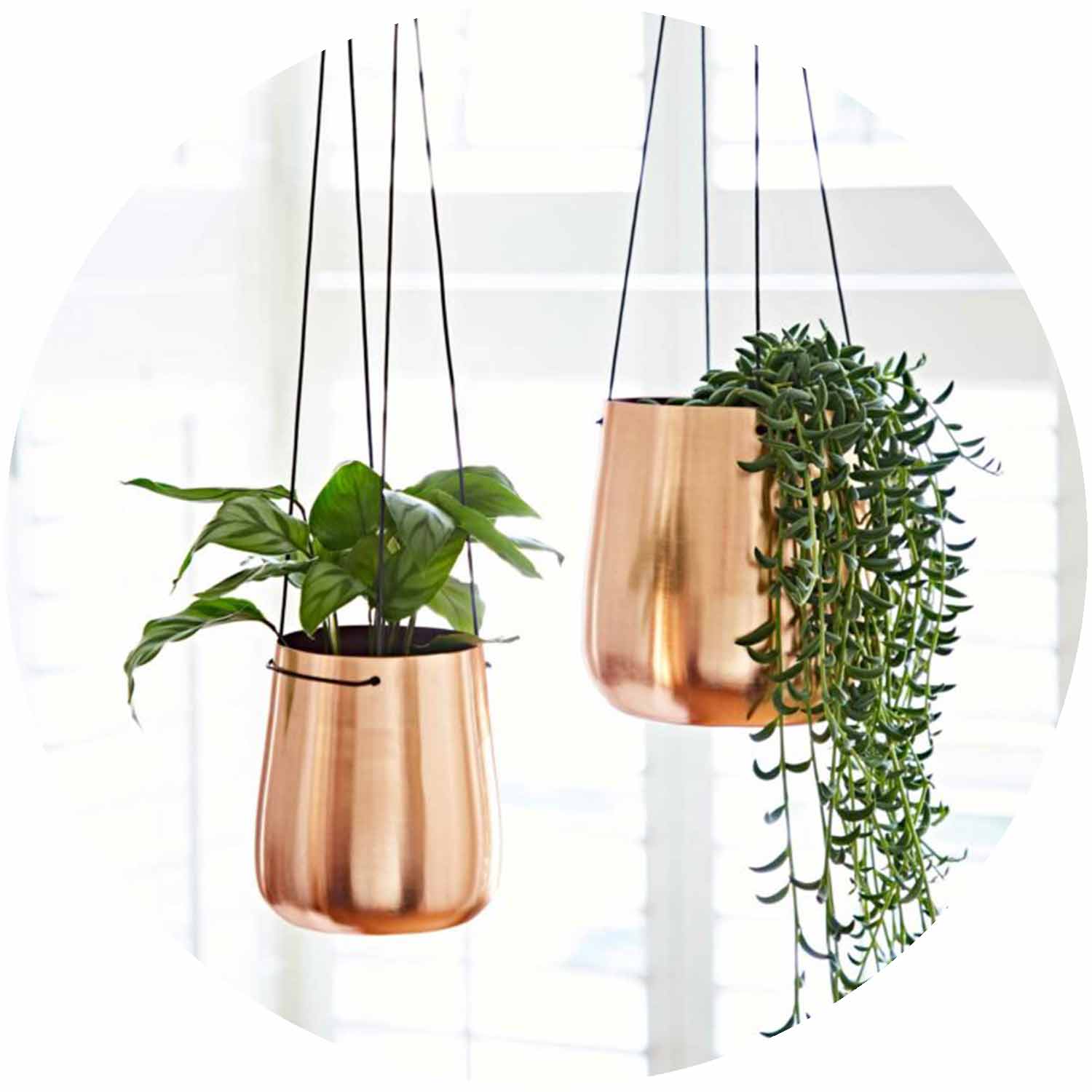 (PH) Hanging Iron Planter - Copper - Large