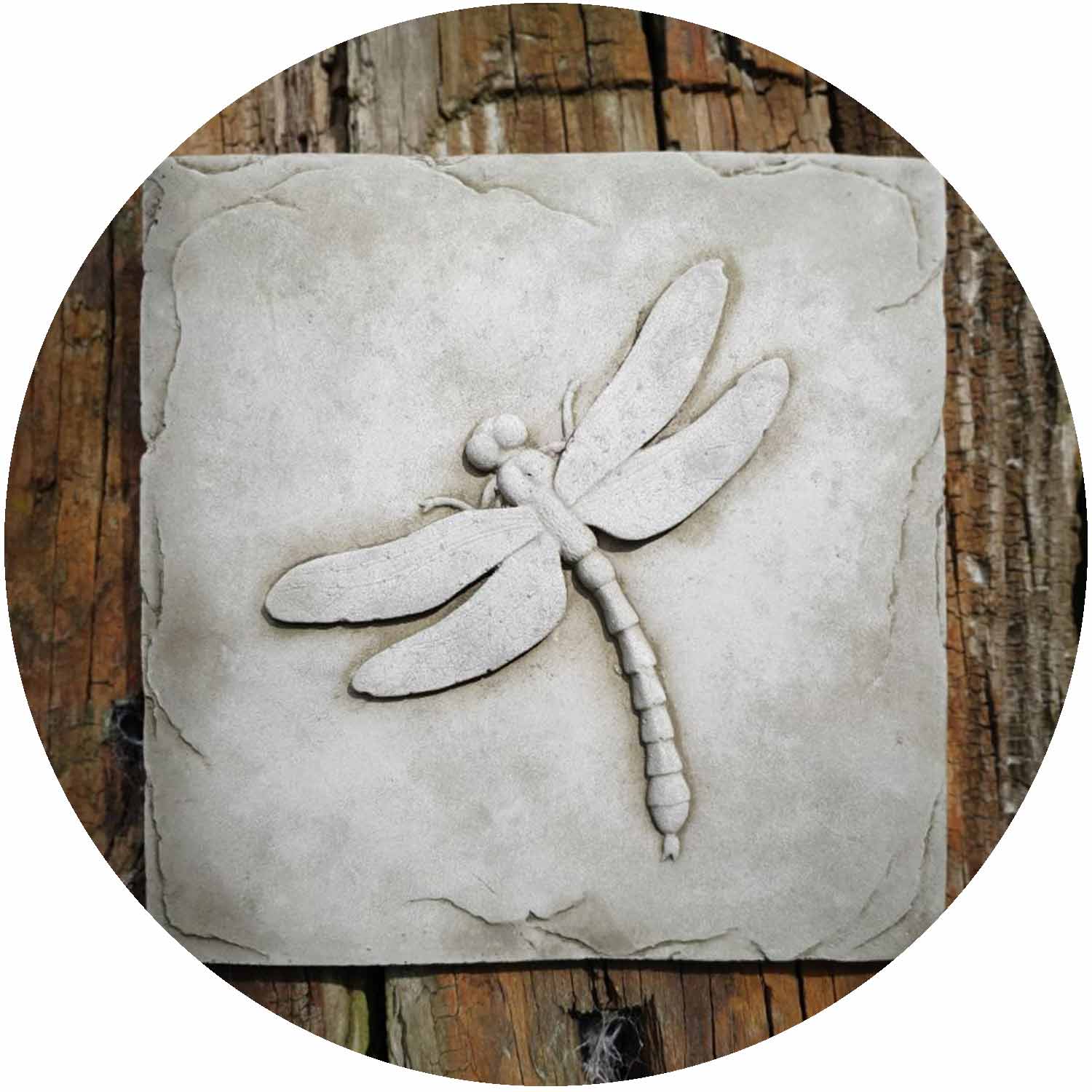 Dragonfly Plaque