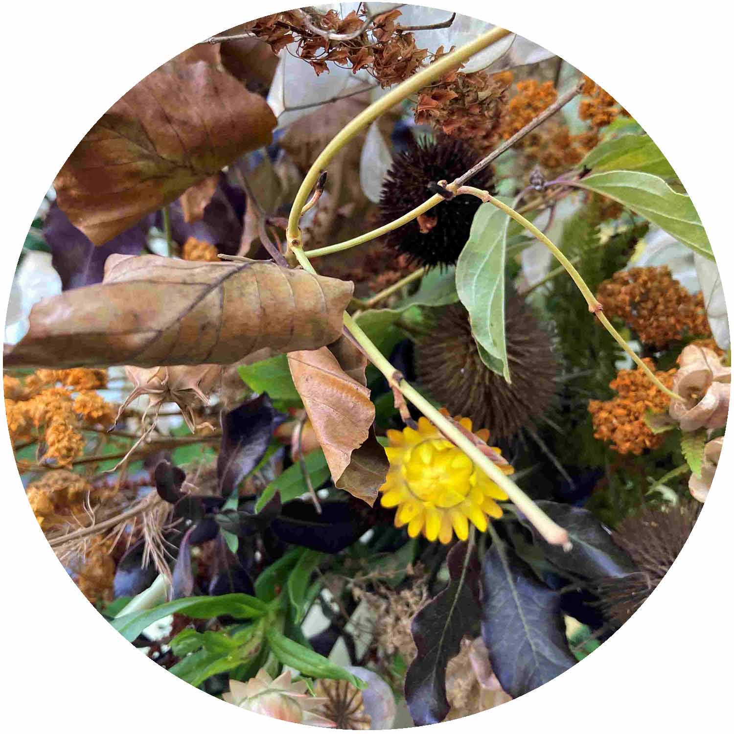 Autumnal Textured Hand-Tied Bouquet Workshop -  Saturday 1st November