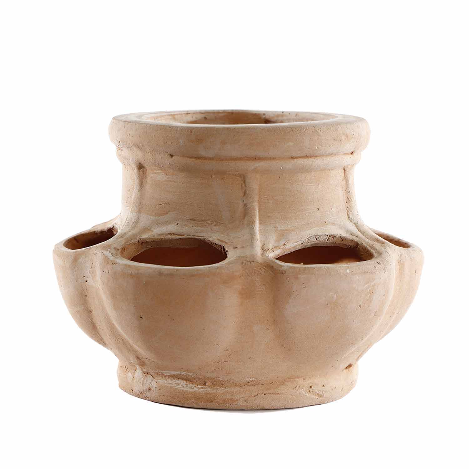 (TPC) Fraouliera Pot 27x33cm
