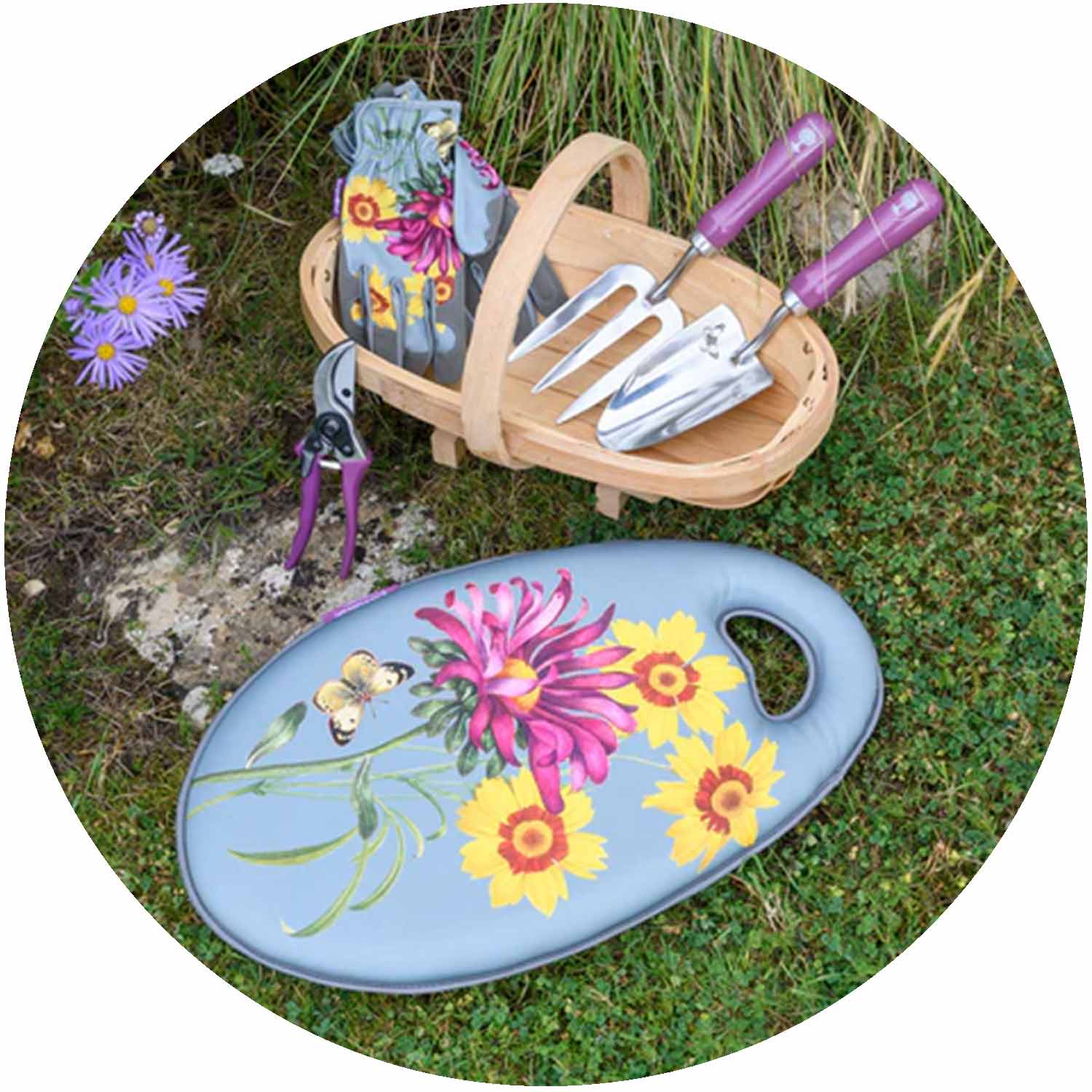 (BB) RHS Asteraceae Kneeler