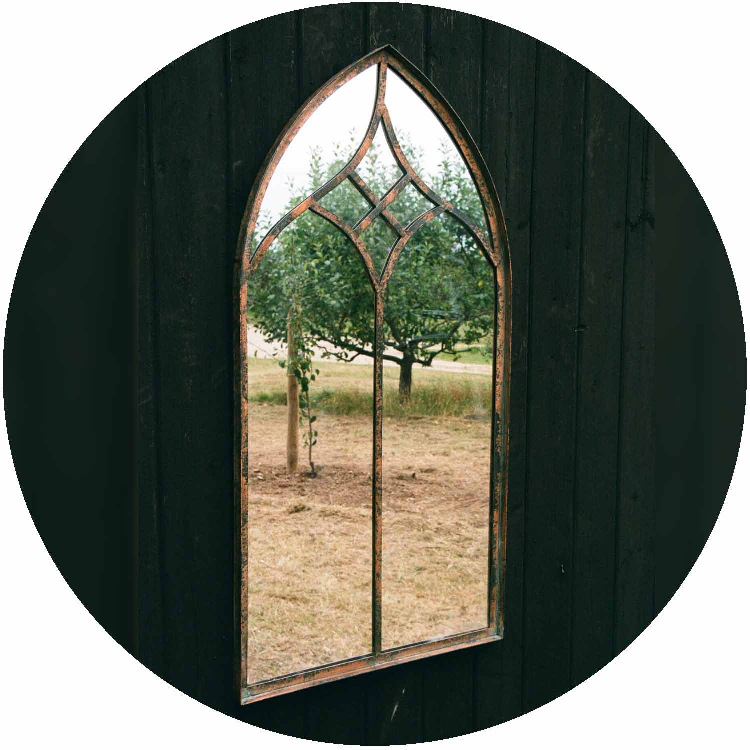 (B) Hamilton Mirror