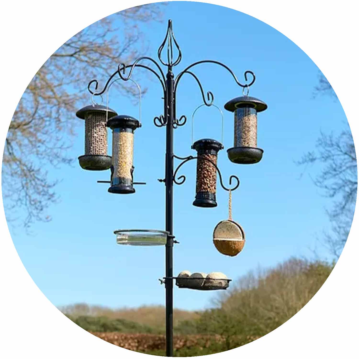 (TC) Harvest Bird Feeding Station