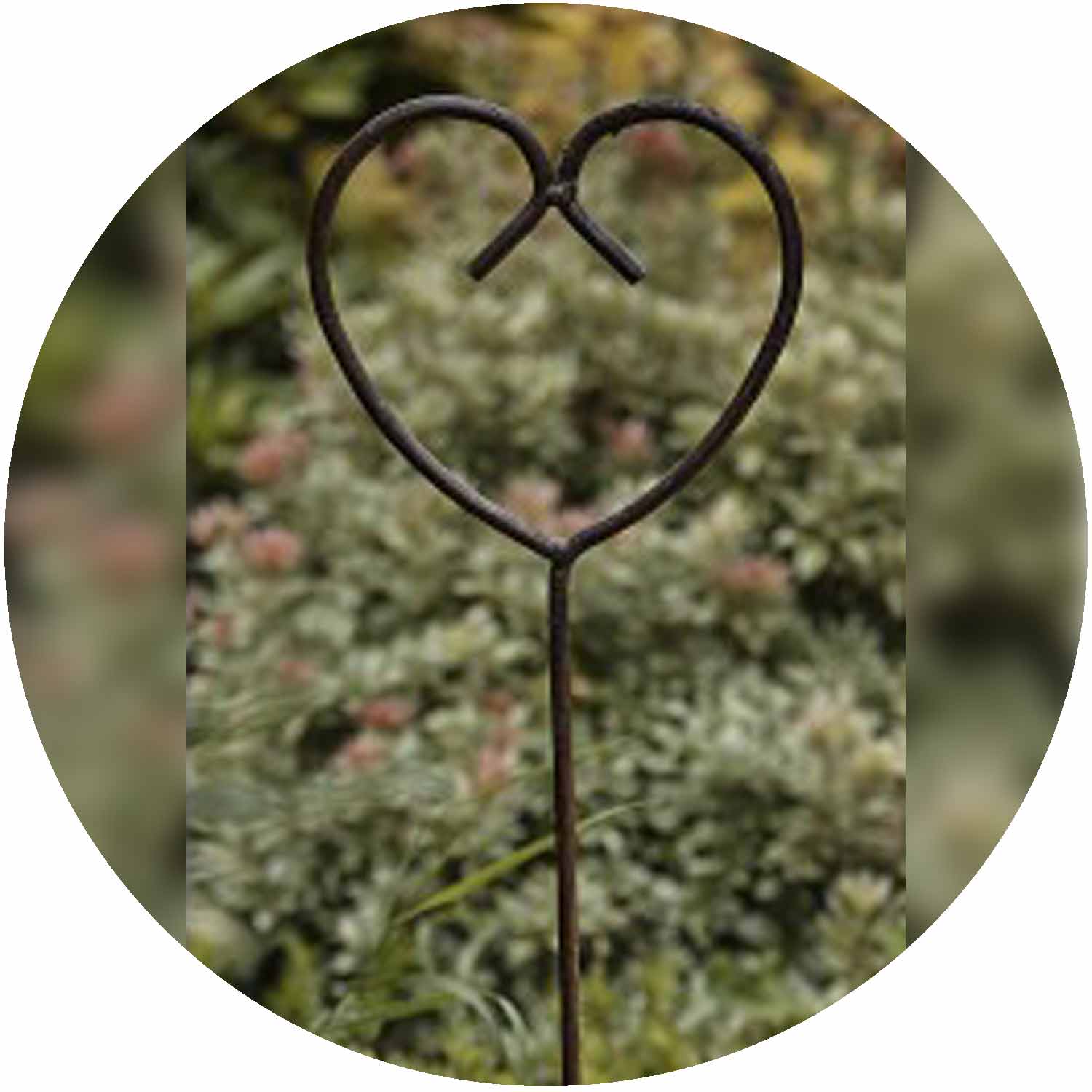 Rusty Plant Stake - Valentine