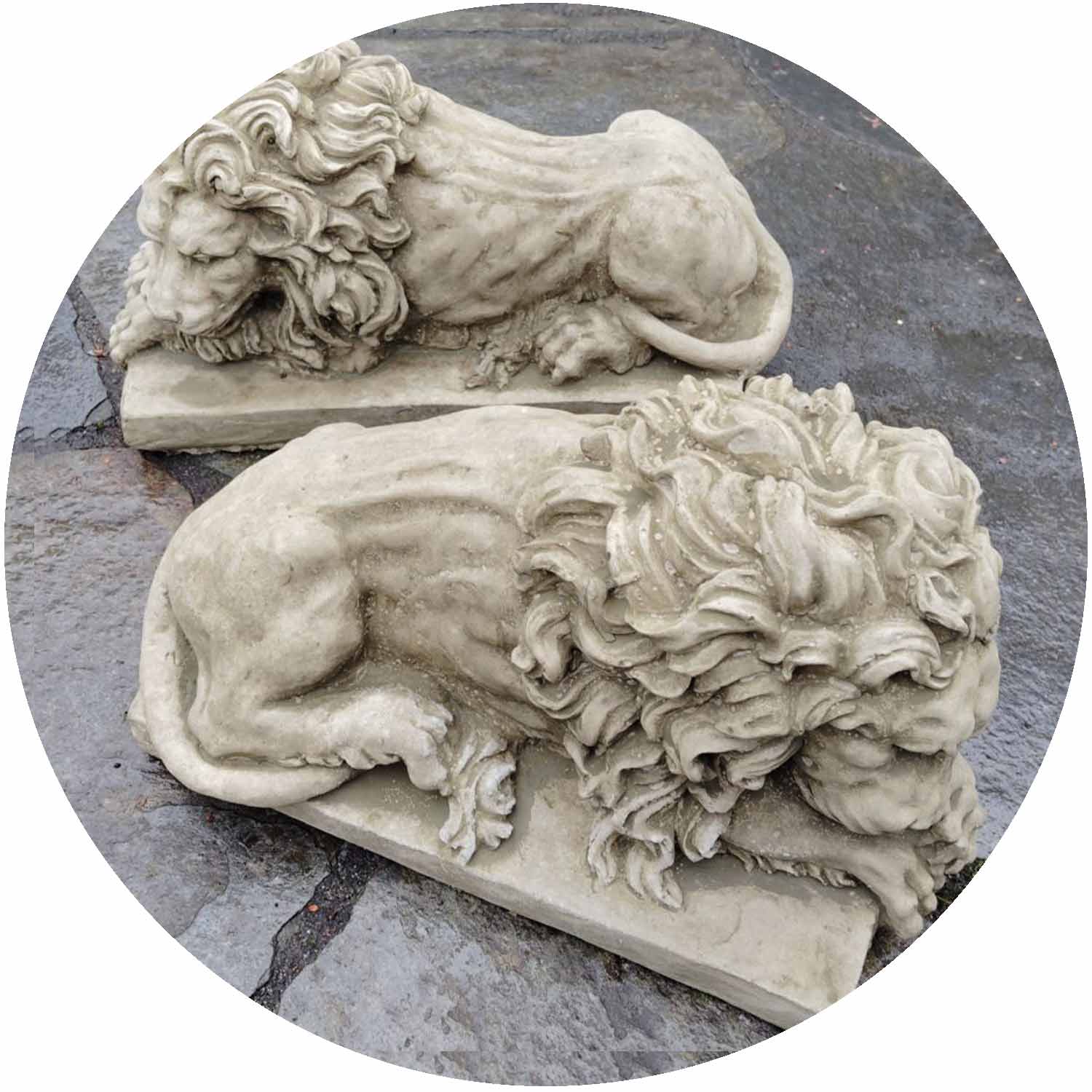Lion Pair FLF29