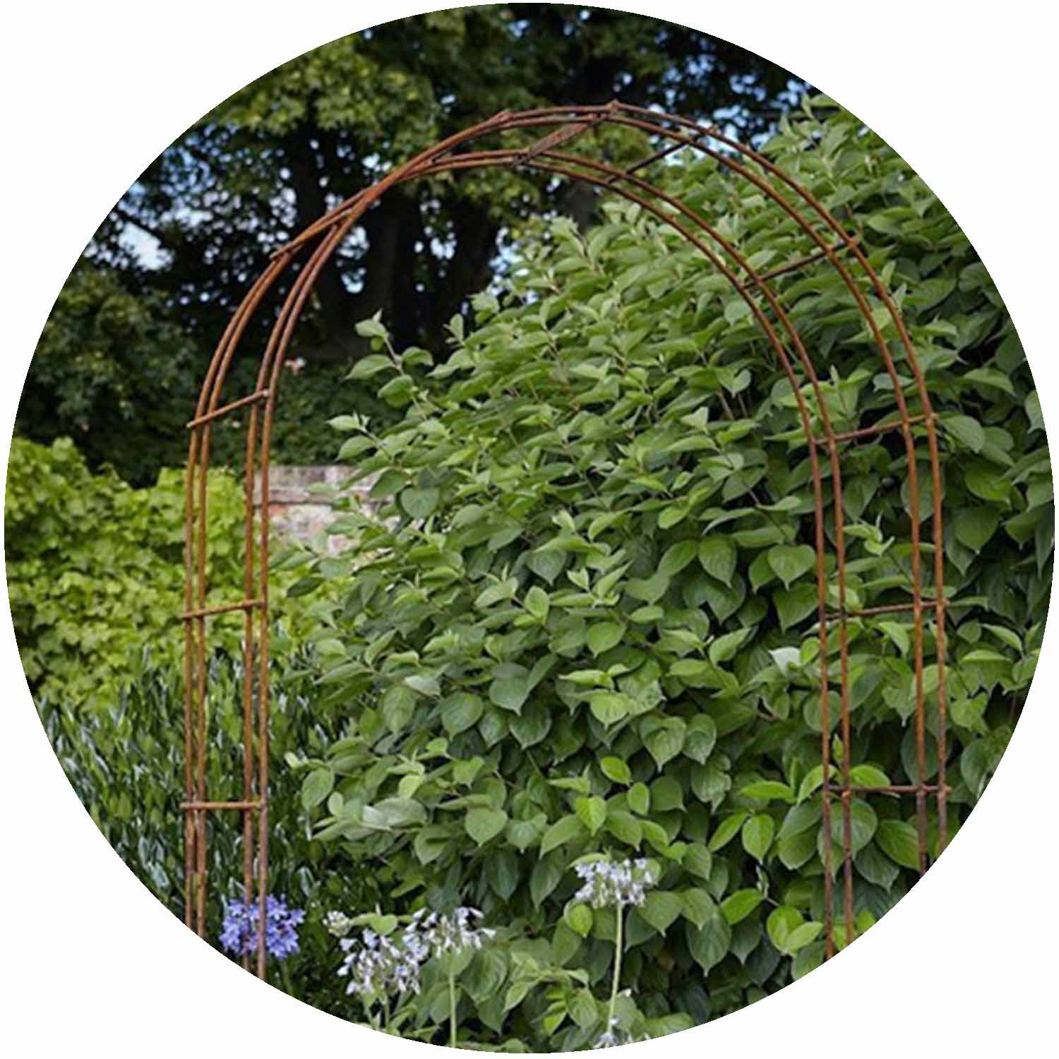 Natural Rust Garden Arch