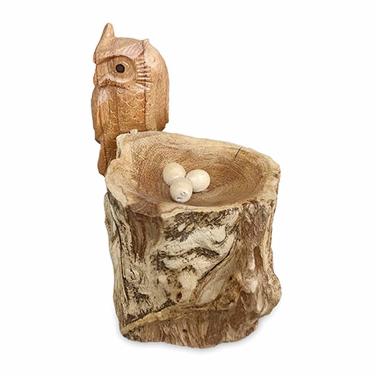 Nesting Single Tawny Owl
