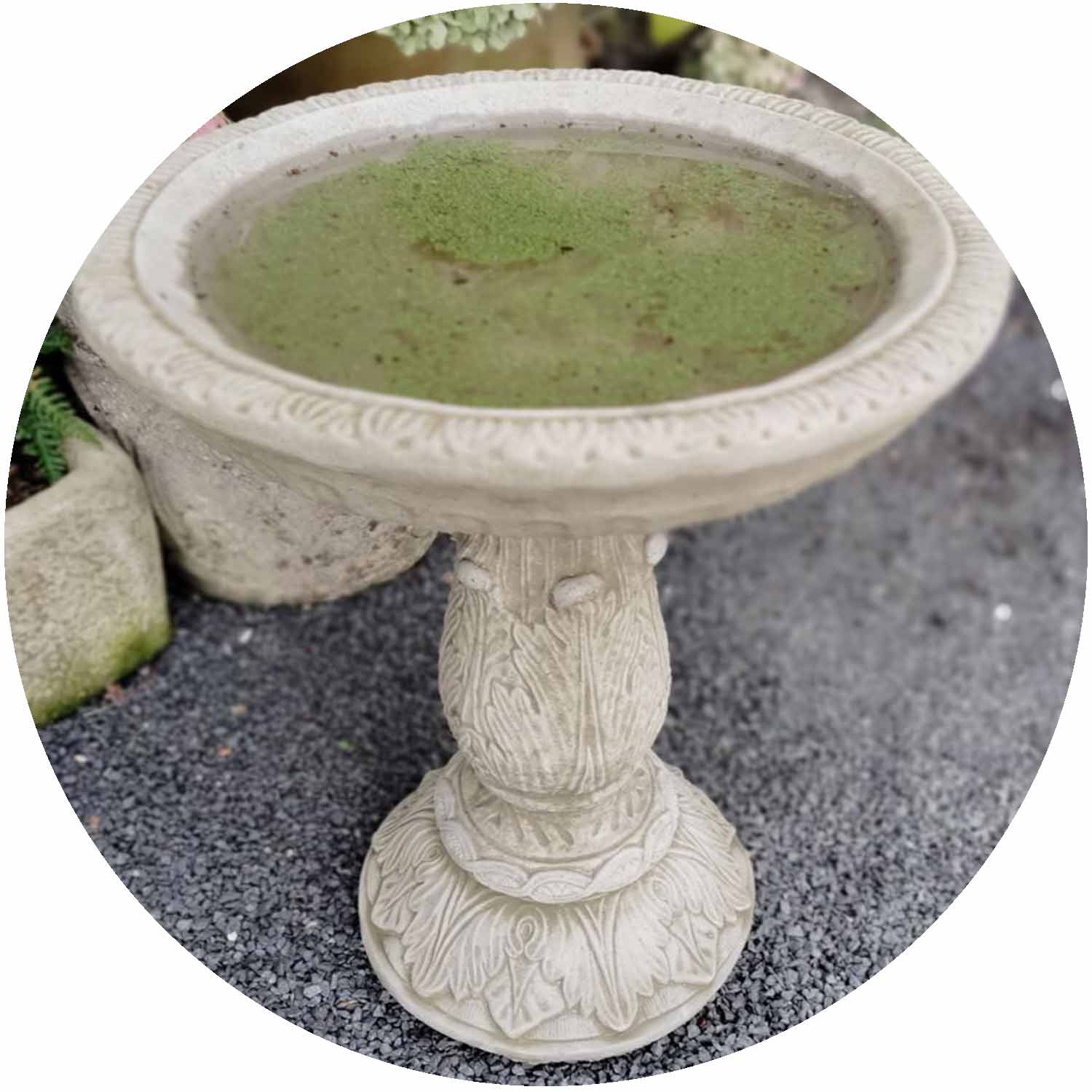 Small Ornate Birdbath