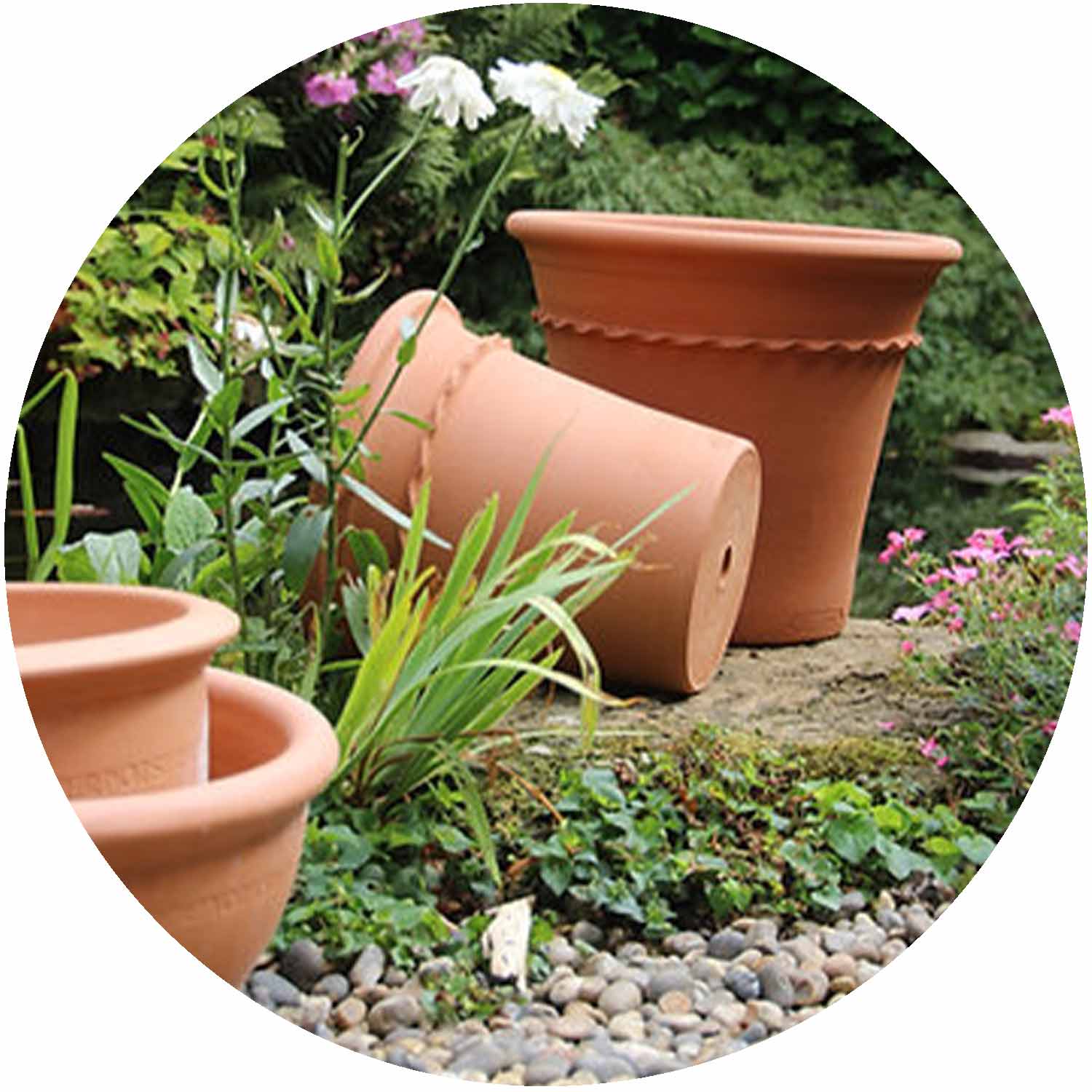 (BF) Terracotta Piecrust Planter