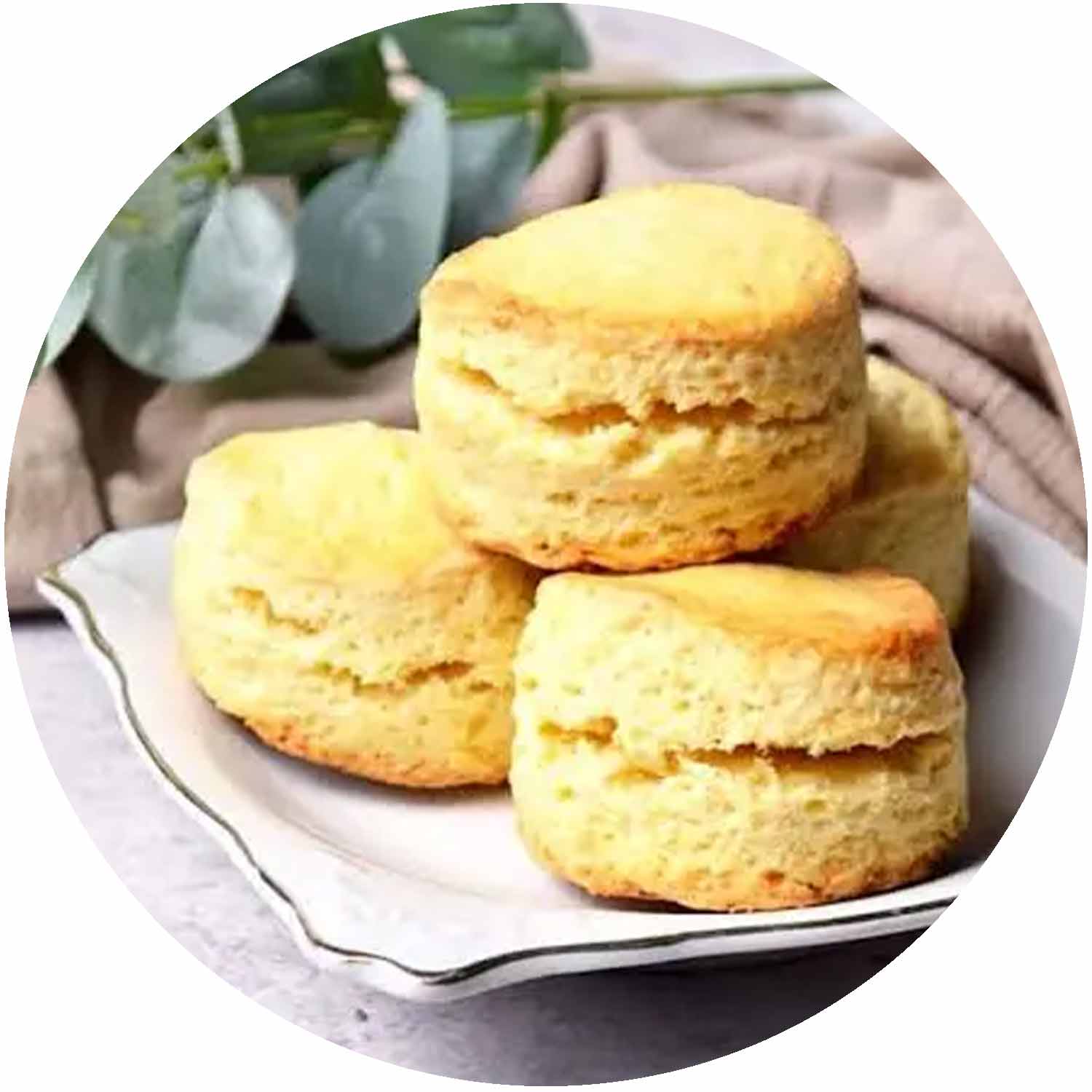 Plain Scone