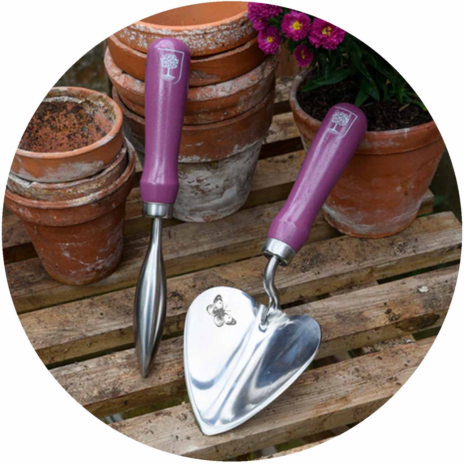 (BB) RHS Asteraceae Planting Trowel/Dibber