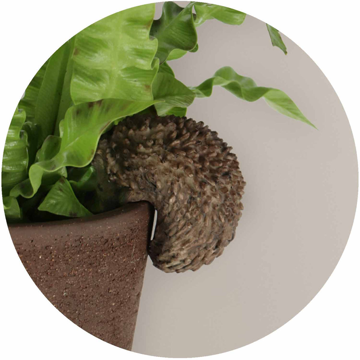 (FF) Pot Hanger