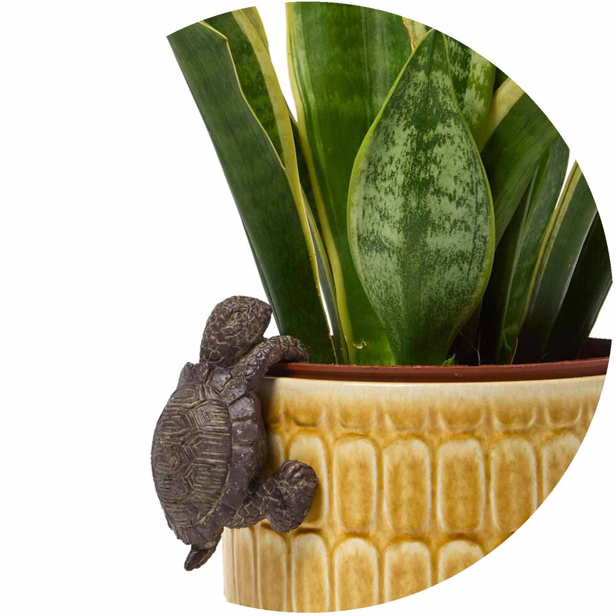 (FF) Pot Hanger