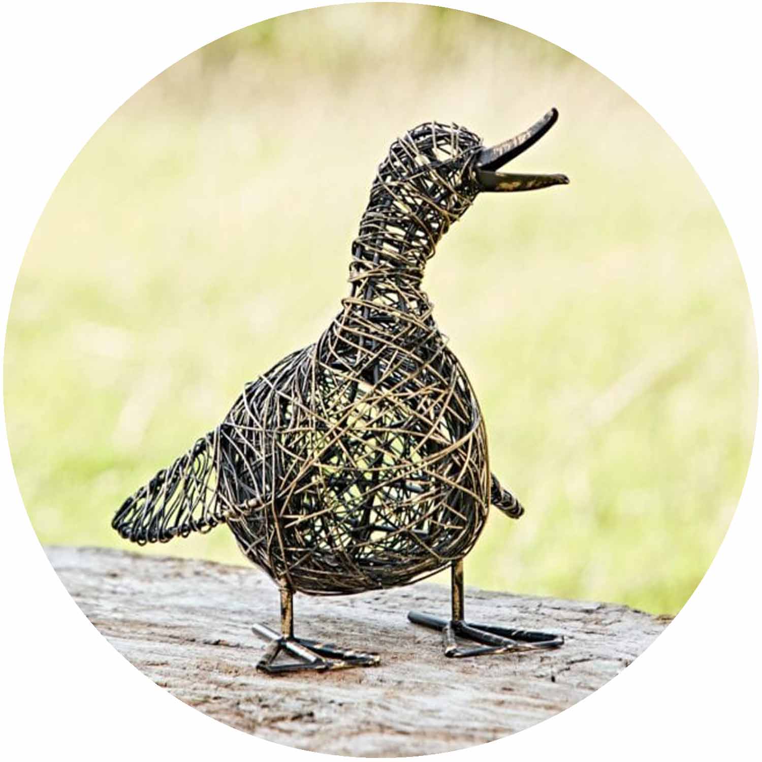 (PH) Janhvi Small Quacking Duck Wire Garden Ornament