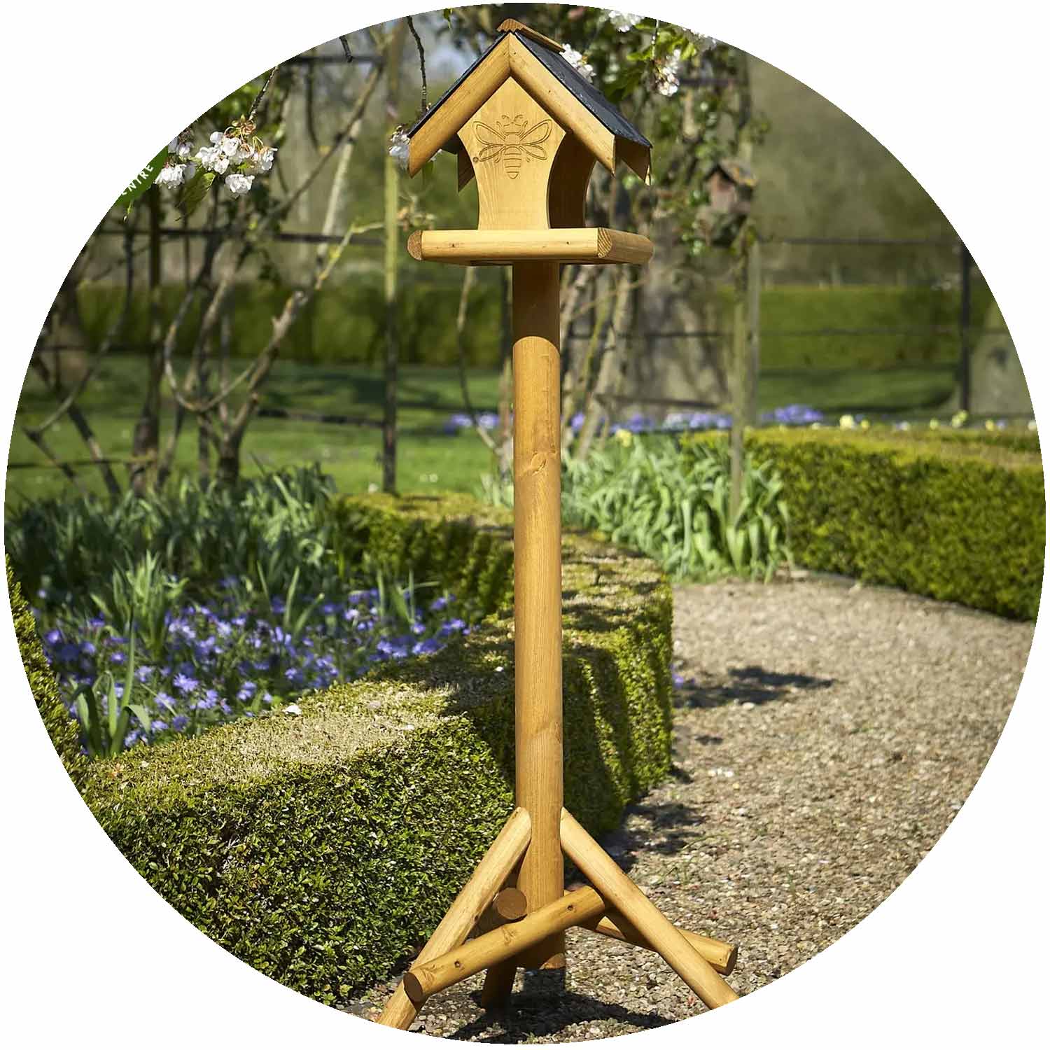 (TC) Queen Bee Bird Table