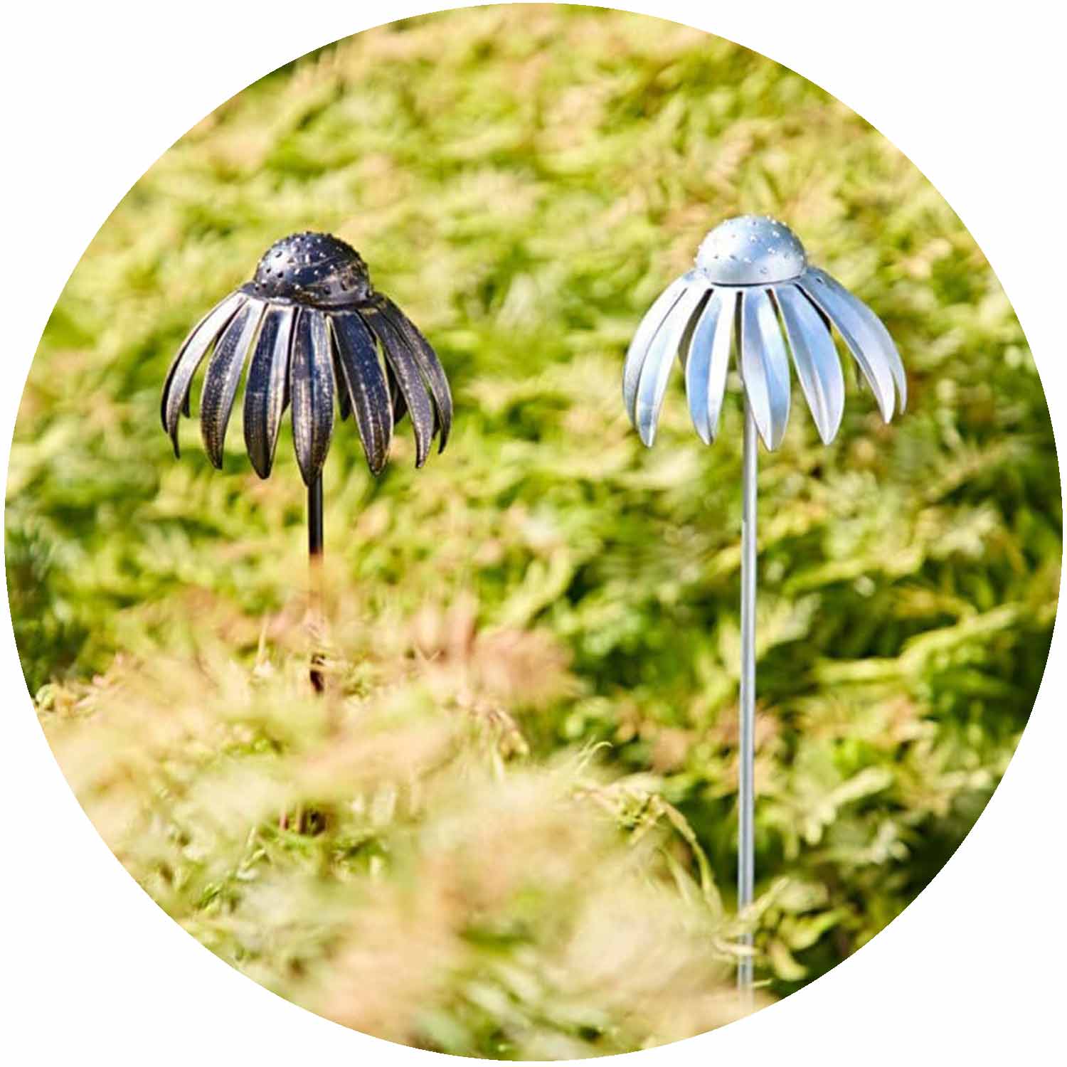 (PH)  Recycled Metal Echinacea Flower Garden Stake Decoration - Black