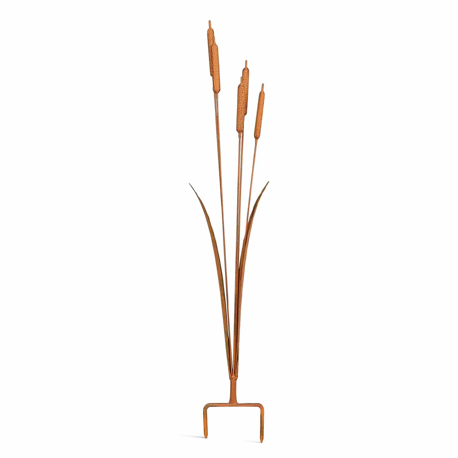 (B) Reed Cluster