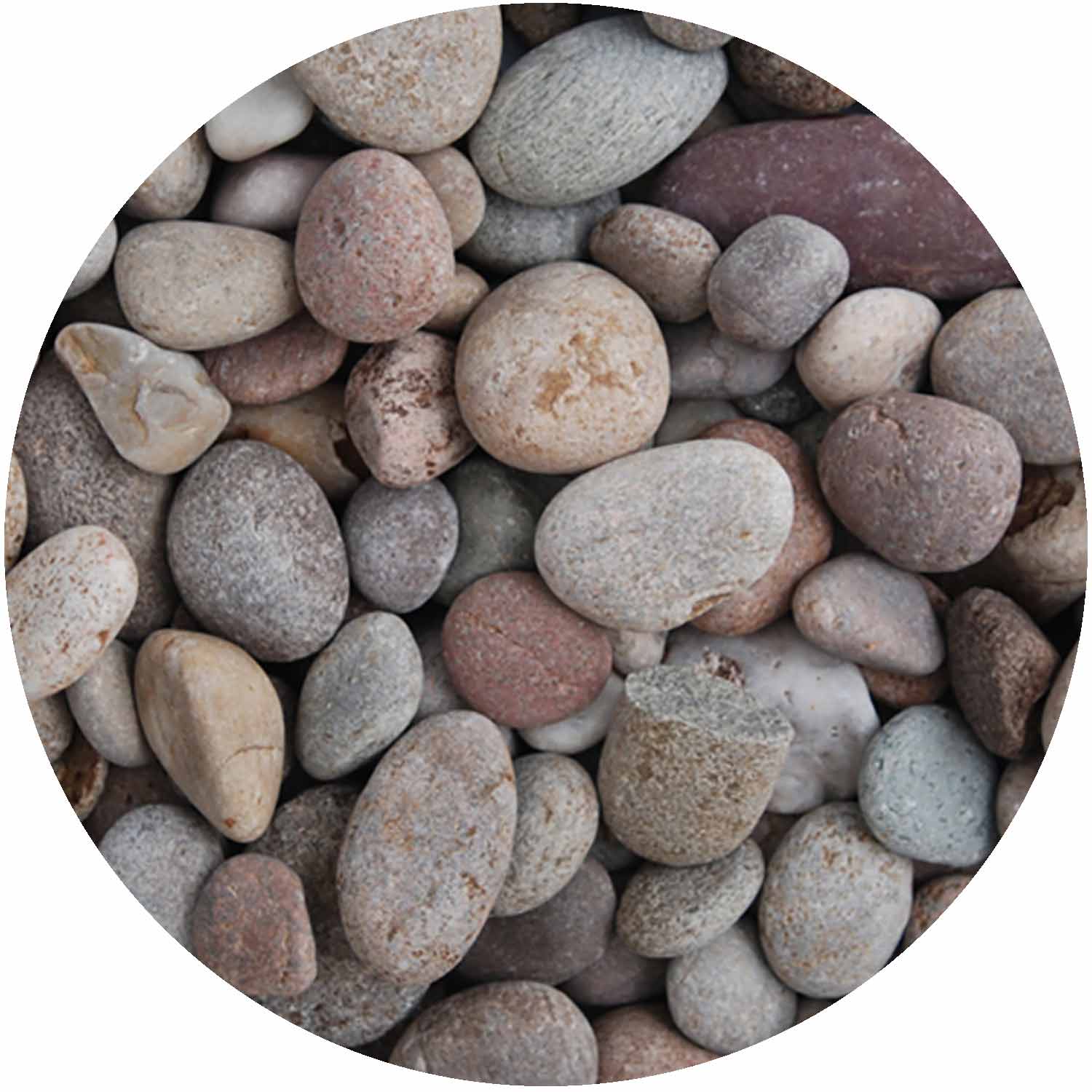 Scottish Pebbles 20-30mm Bulk Bag