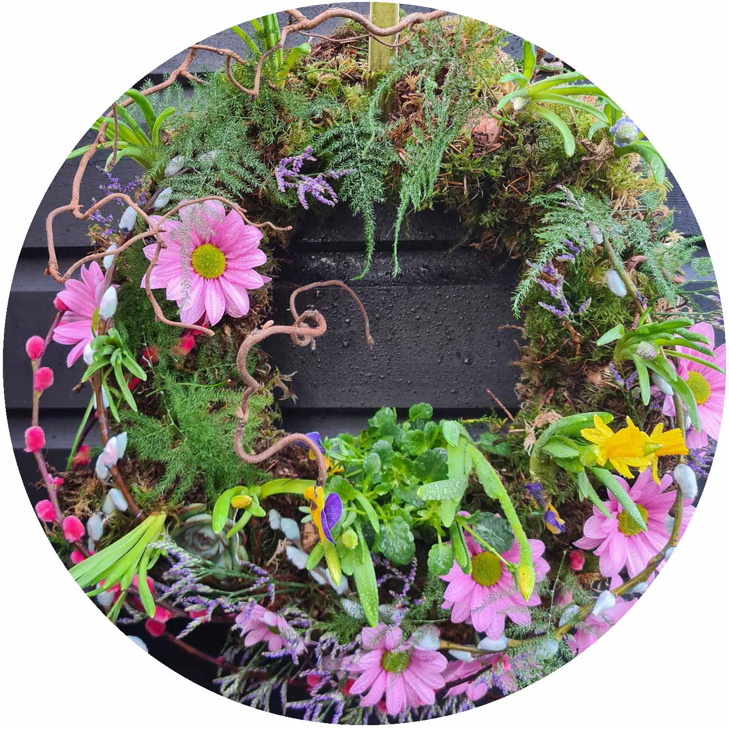 Spring Bulb Wreath Workshop - Sunday 22nd February 2026