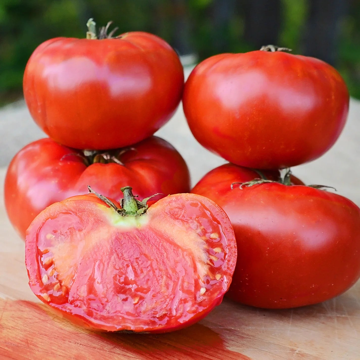 (GK) Tomato - F1 Buffalosteak 9cm