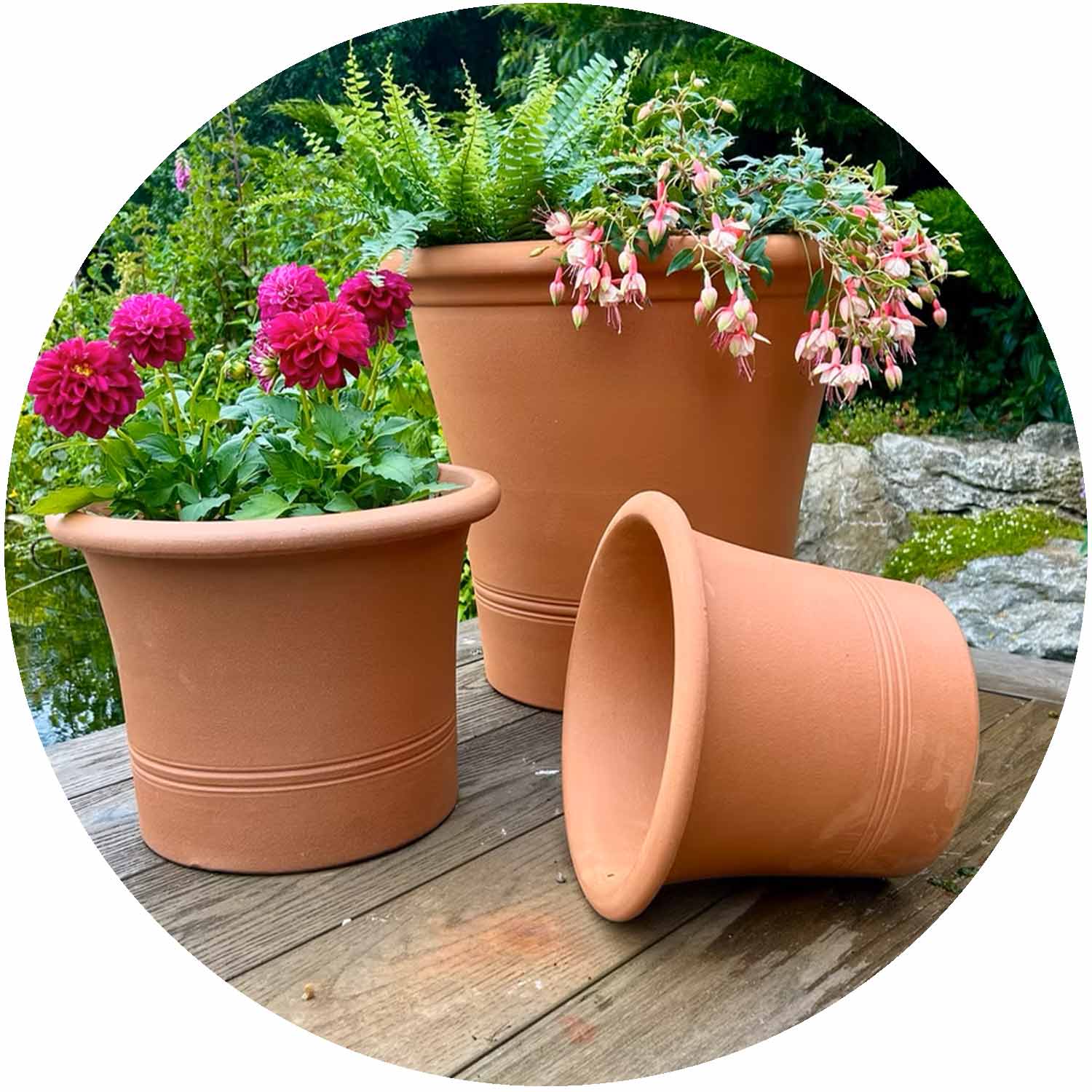 (BF) Terracotta Flared Planter