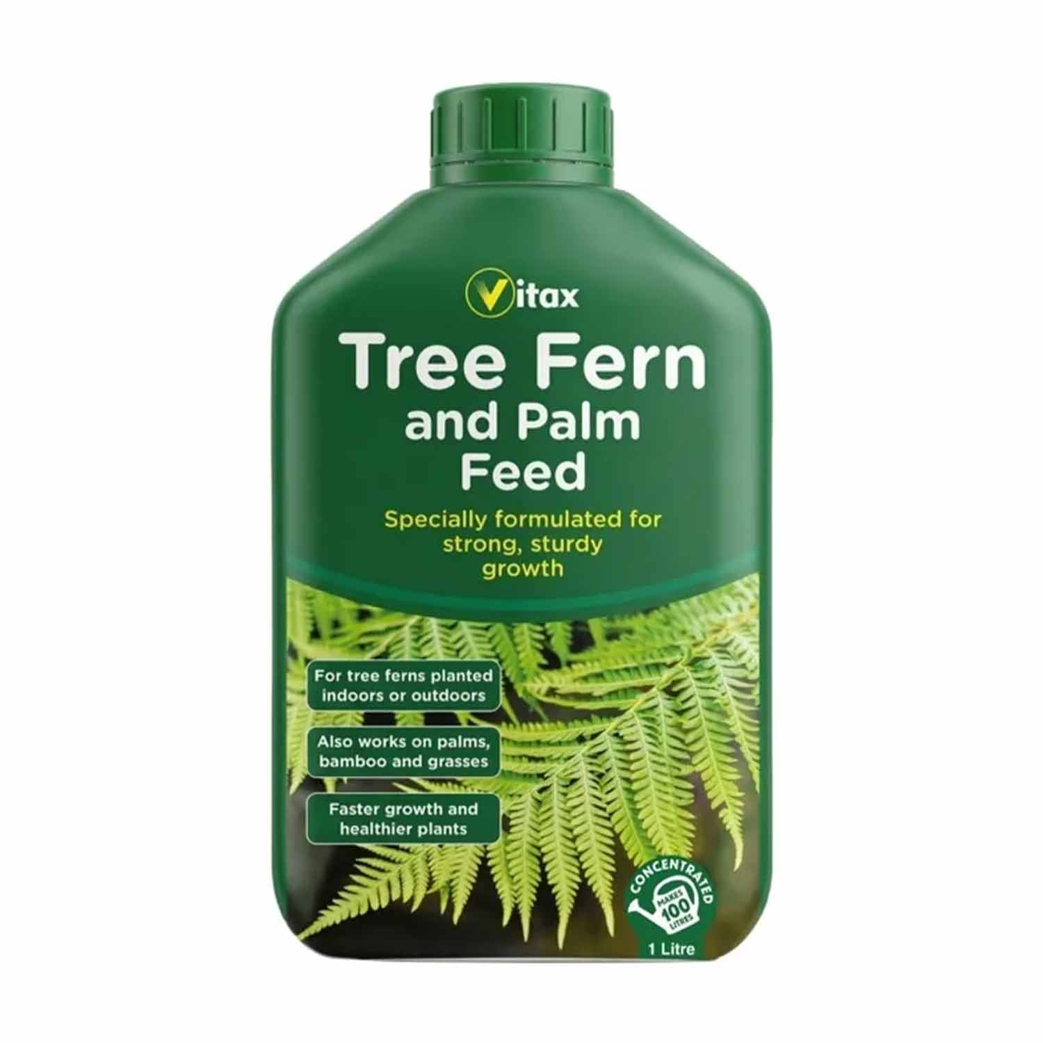 (VX) Tree Fern & Palm Feed