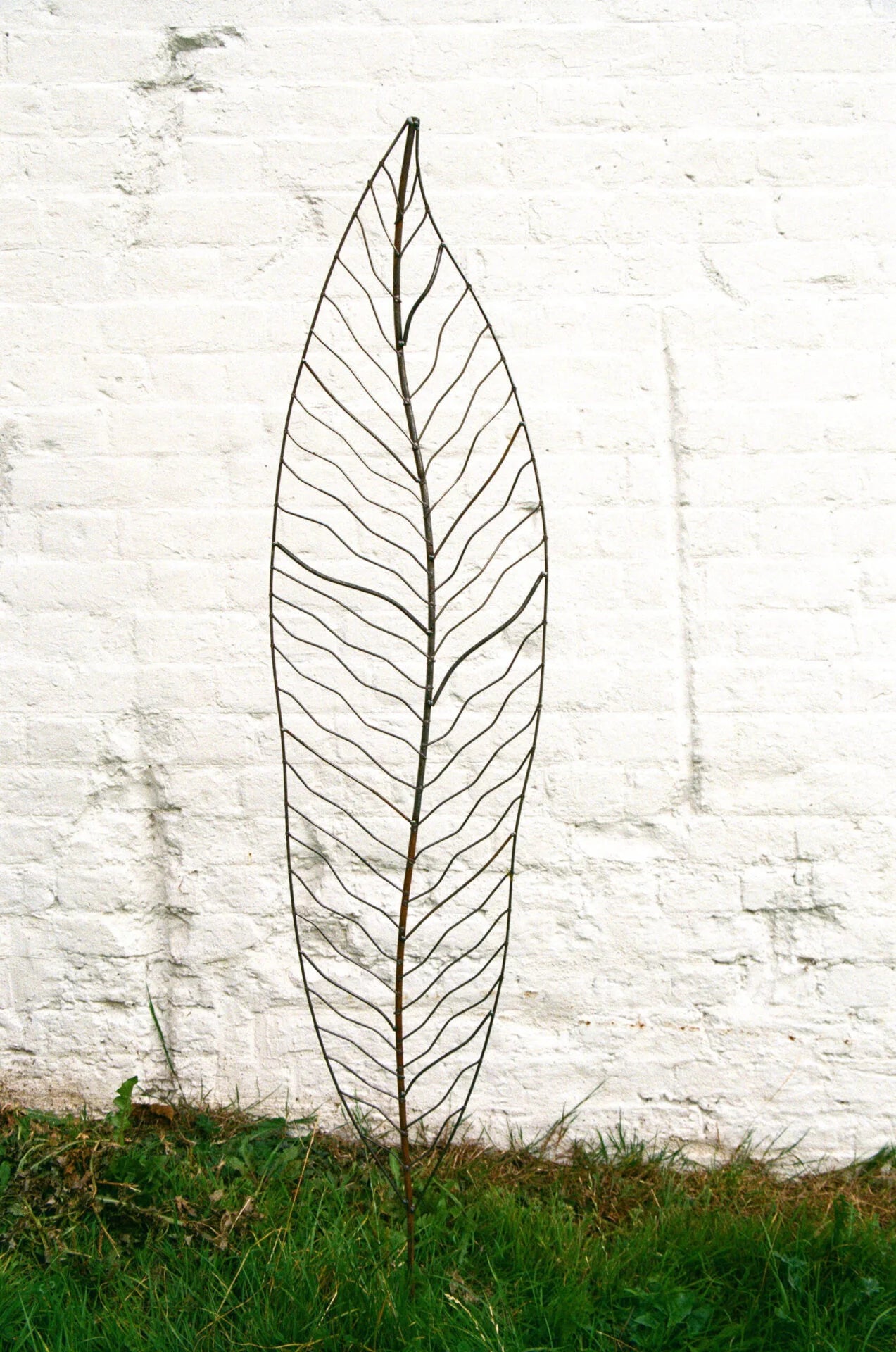 Leaf Art