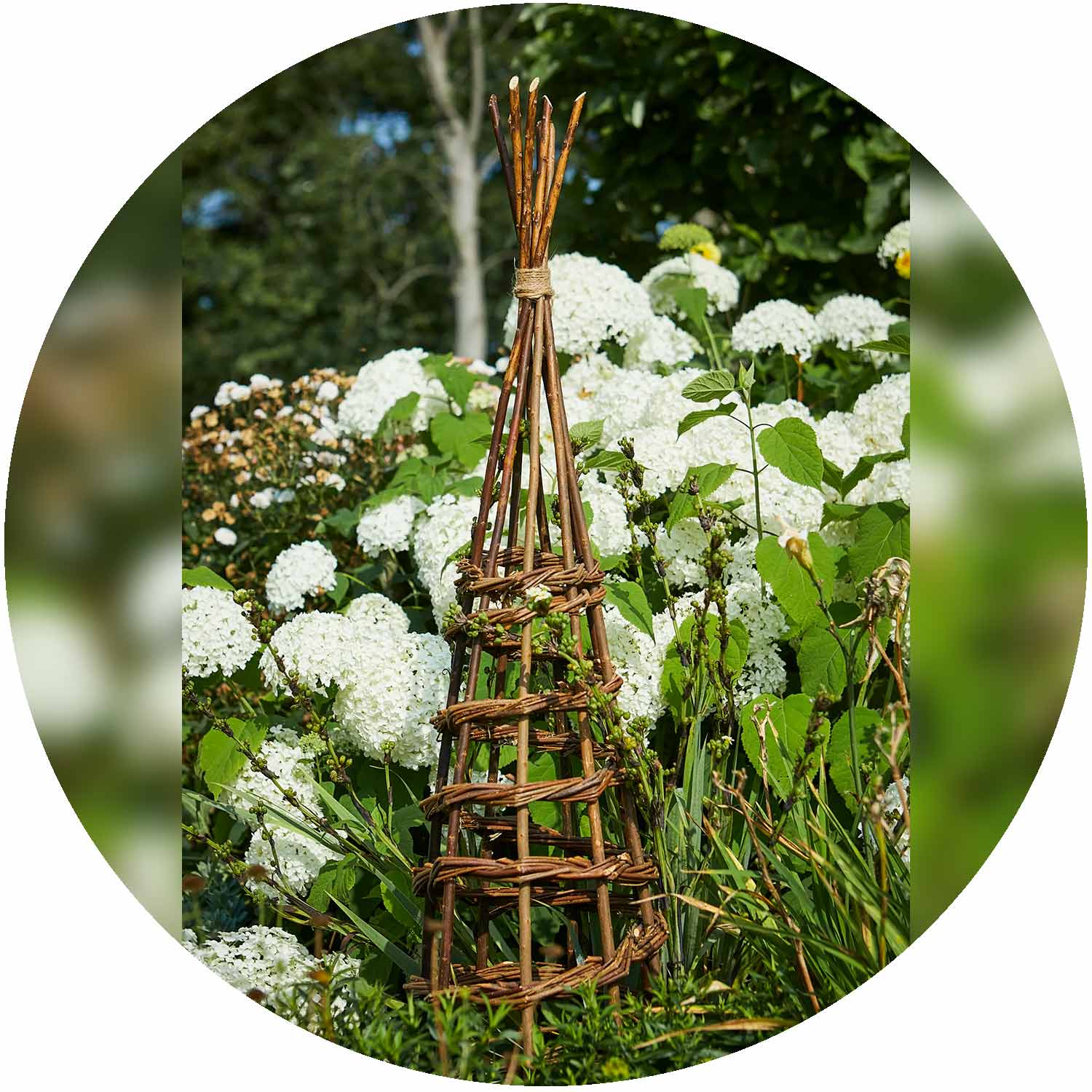 Willow Wigwam Obelisk